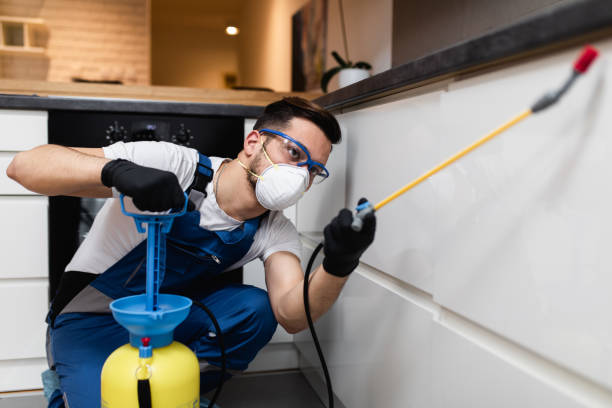 Best Pest Removal Services  in Highlands, TX