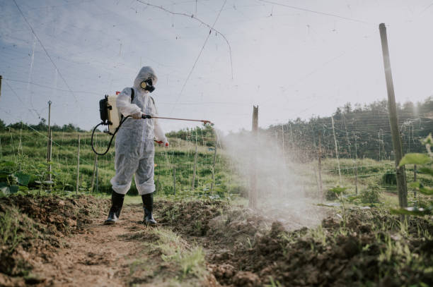 Best Best Pest Control Companies  in Highlands, TX