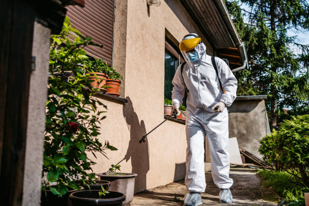 Best Rat Extermination Near Me  in Highlands, TX