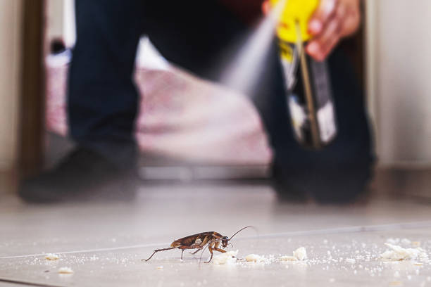 Best Commercial Pest Control Services  in Highlands, TX
