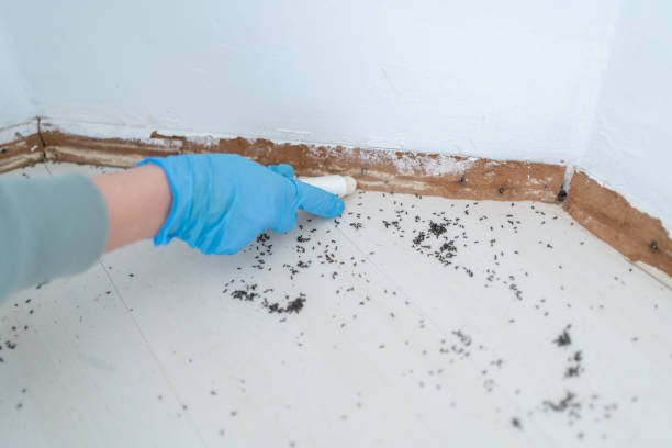 Best Affordable Pest Control Services  in Highlands, TX